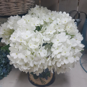 White Hydrangea Pick 13in