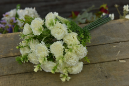 White Carnation Bunch 13in