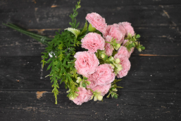 Pink Carnation Bunch Pick 12in