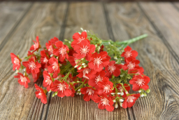 Red Baby's Breath Pick 14in