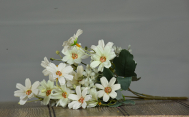White Star Flower Pick 13in