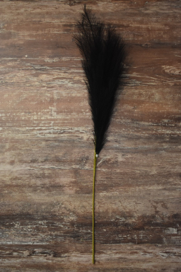 Black Pampas with 11 stems 43in