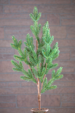 Natural Spruce 32in Pick