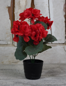 Red Geranium Pot