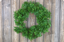 Boxwood Wreath 20in