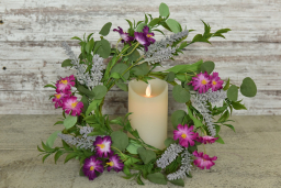 Blooming Aster 6.5in Candle Ring