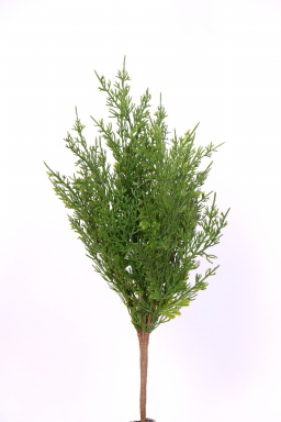Evergreen Cedar 18in Pick