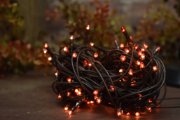 Amber 50 Bulb Primitive RICE String Lights 10ft Green Cord - Steady On