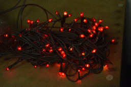 Red 100 Bulb Primitive Rice String Light 19.5 ft Green Cord - Steady On