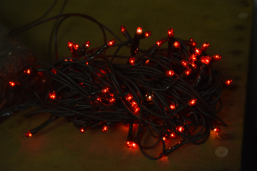 Red 50 Bulb Primitive RICE String Lights 10ft Green Cord - Steady On