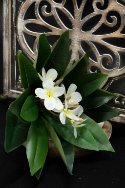 White Vanda Orchid 39in