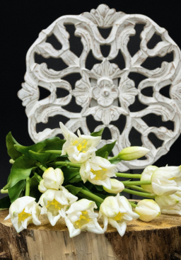White Parrot Tulips 14in