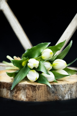 White Tulips 12in