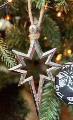 Nickel Star Ornament 3x5.5in