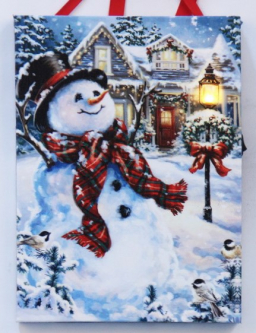 Snowman Greetings w/ 1 LED Light 6inx8in