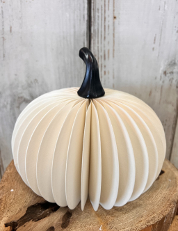 Large White Round Pumpkin 7.5x12in