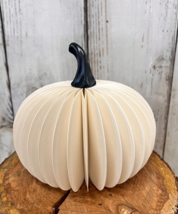 Medium White Round Pumpkin 4.5x6.5in