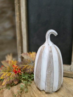 Pippin Pumpkin 4x8in