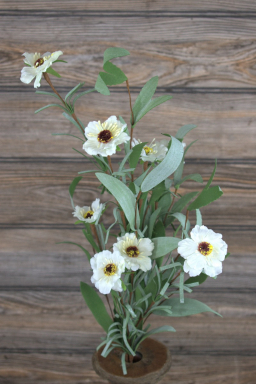 White Aster Pick