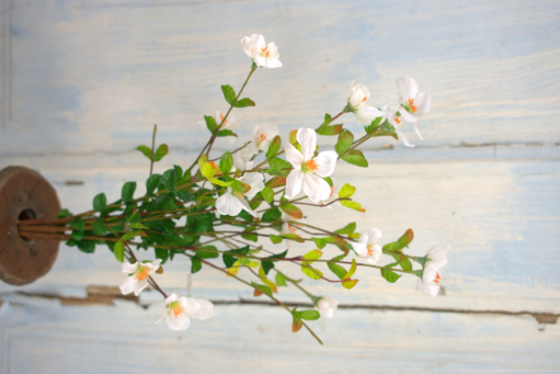 Apple Blossom Pick