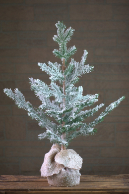 Frosted Spruce 24in Tree