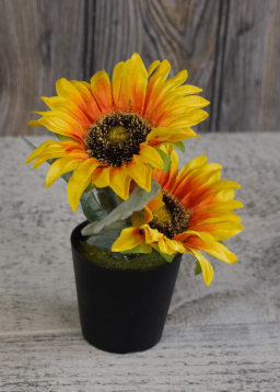 Sunflower Pot