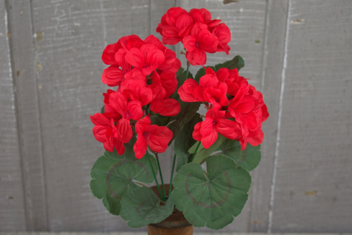 Red Geranium 13in Pick