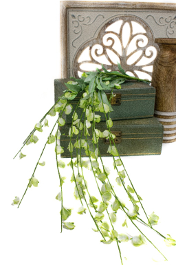 Green Hanging Wisteria 4ft