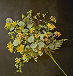 Lemon Drop Daisy Pick