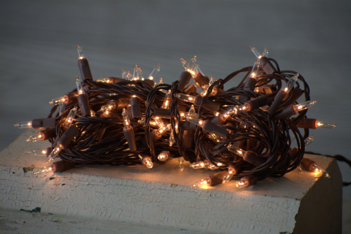 10 Bulb Brown Cord Mini Country Lights