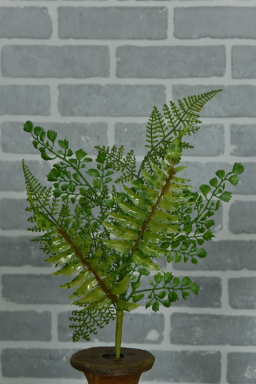 Lacy Fern 18in Pick