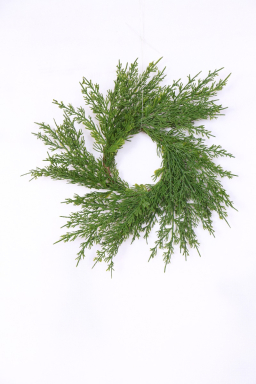 Evergreen Cedar 4.5in Candle Ring