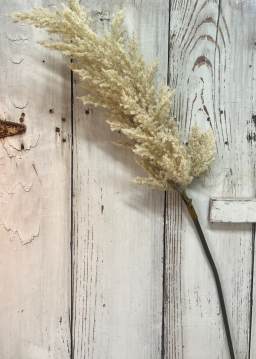 Cream Flocked Pampas