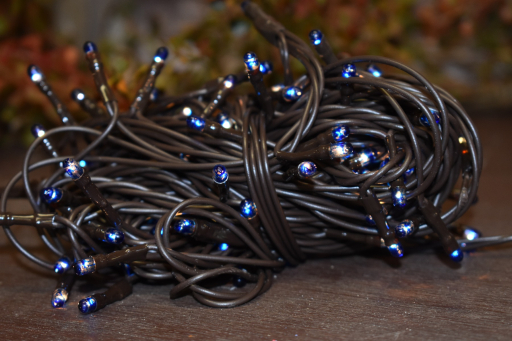 Blue 100 Bulb Primitive Rice String Light 19.5 ft Green Cord - Steady On