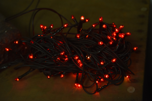 Red 50 Bulb Primitive RICE String Lights 10ft Green Cord - Steady On