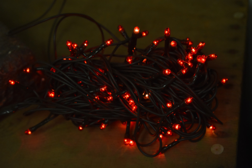 Red 20 Bulb Primitive RICE String Lights 5ft Green Cord - Steady On