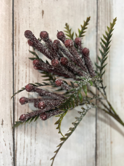 Frosty Berry  Bunch
