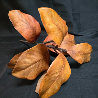 Golden Brown Almond Stem