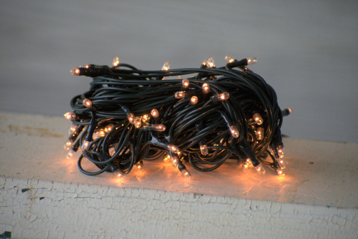 20 Bulb Primitive RICE String Lights 5ft Green Cord - Steady On