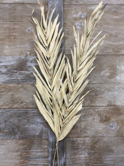 Grey Deco Leaves 39in