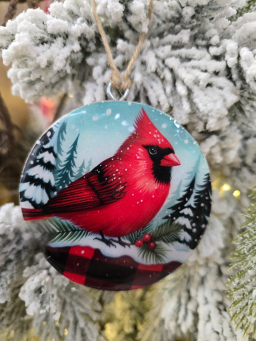 Red Bird Ornament 3x3in