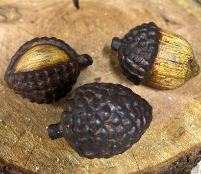 Acorn 2.75x2in Set of 3