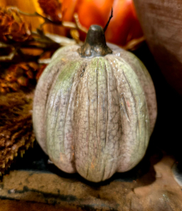 Orchard Pumpkin 3x3x4in