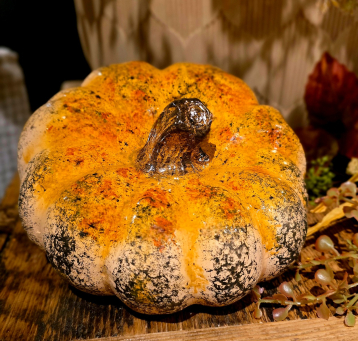 Heirloom Harvest Pumpkin 7x7x4in