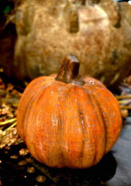 Timeless Autumn Pumpkin 5x5x5in