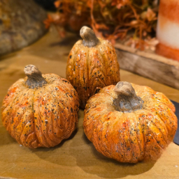 Mini Rustic Pumpkins Set of 3 3x3x2in