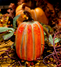 Harvest Crest Pumpkin 4x4x7in