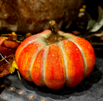 Holloway Pumpkin 6x5x4in