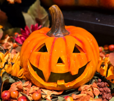 Harvest Harry 6x5x5in