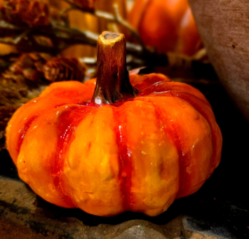 Marigold Pumpkin 4x4x3in